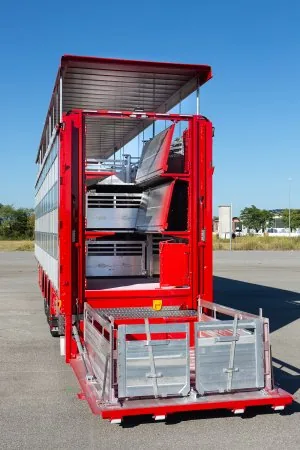 Pezzaioli SBA63 maialino